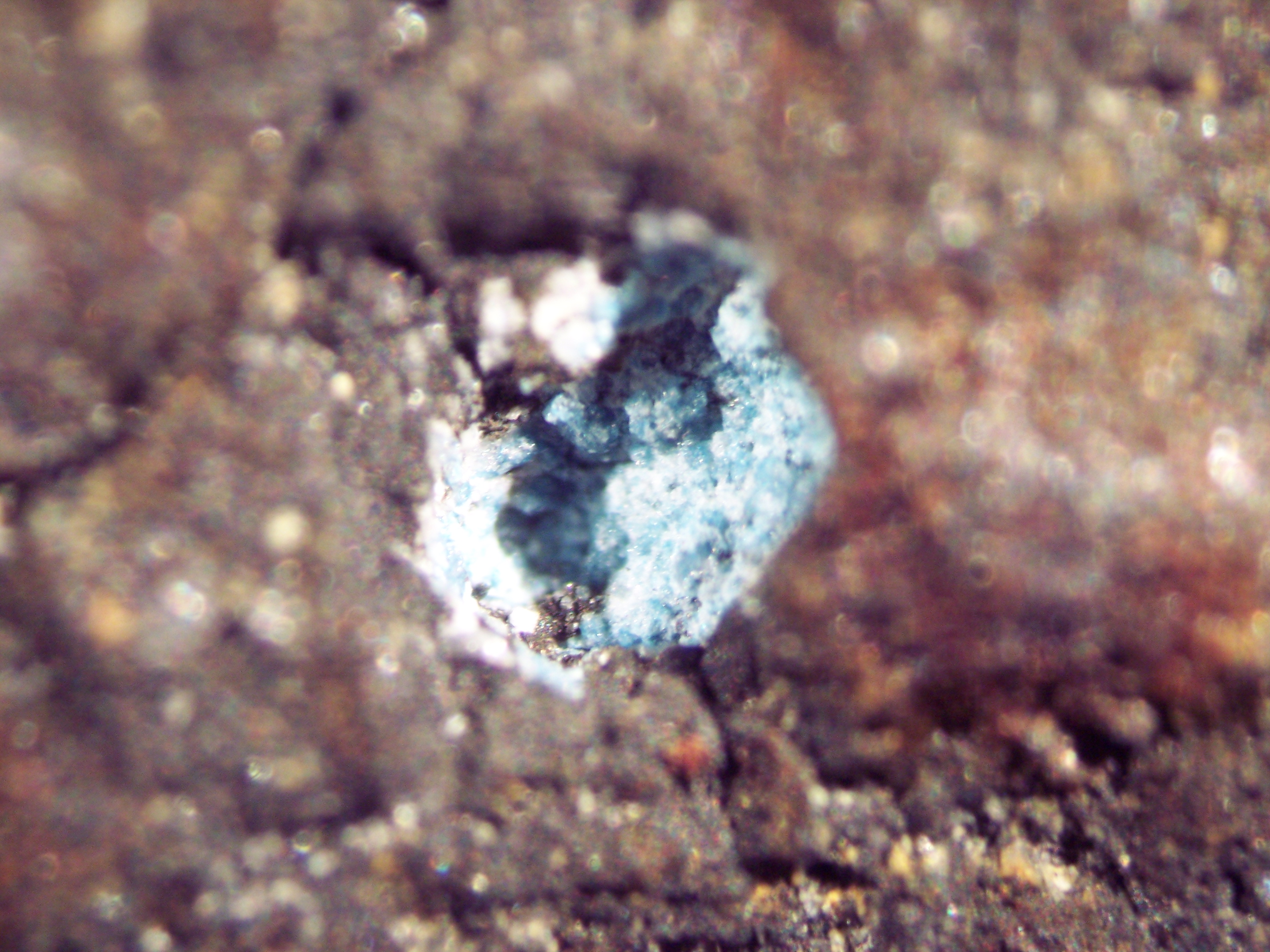 DOM 08006 Meteorite Sample Photograph Showing Blue Vug Micro View