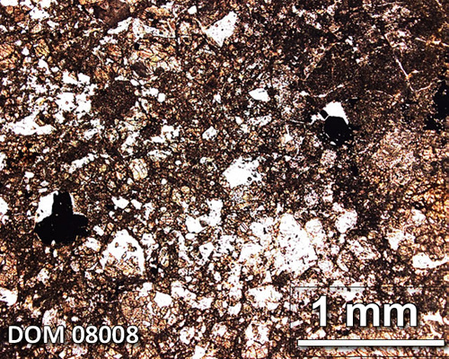Thin Section Photograph of Sample DOM 08008 in Plane-Polarized Light