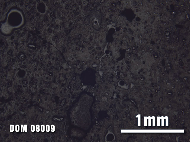 Thin Section Photo of Sample DOM 08009 at 2.5X Magnification in Reflected Light