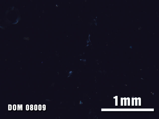 Thin Section Photo of Sample DOM 08009 at 2.5X Magnification in Cross-Polarized Light