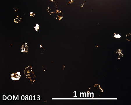 DOM 08013 Meteorite Thin Section Photo with 5x magnification in Plane-Polarized Light