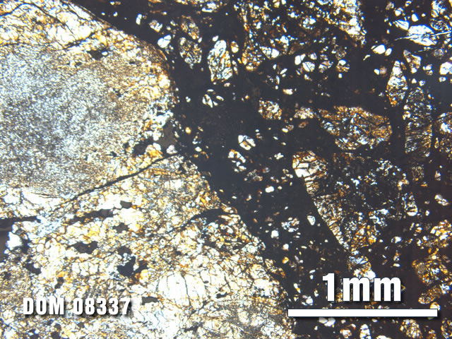 Thin Section Photo of Sample DOM 08337 at 2.5X Magnification in Plane-Polarized Light