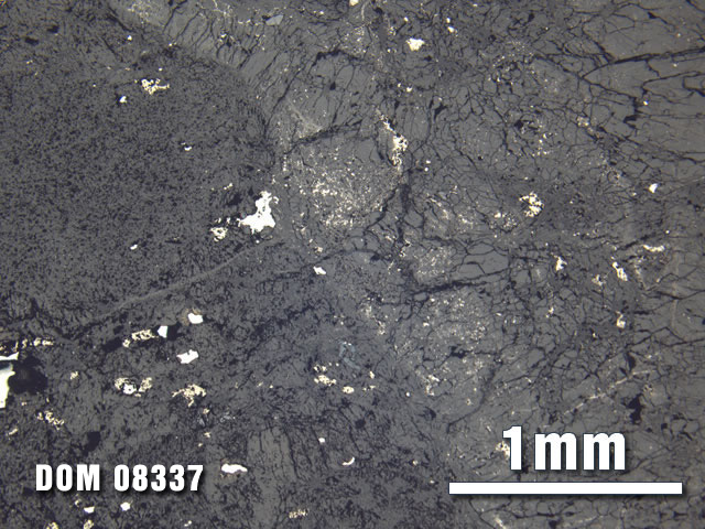 Thin Section Photo of Sample DOM 08337 at 2.5X Magnification in Reflected Light