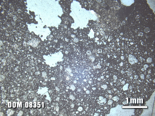 Thin Section Photo of Sample DOM 08351 at 1.25X Magnification in Reflected Light