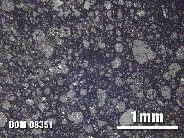 Thin Section Photo of Sample DOM 08351 at 2.5X Magnification in Reflected Light