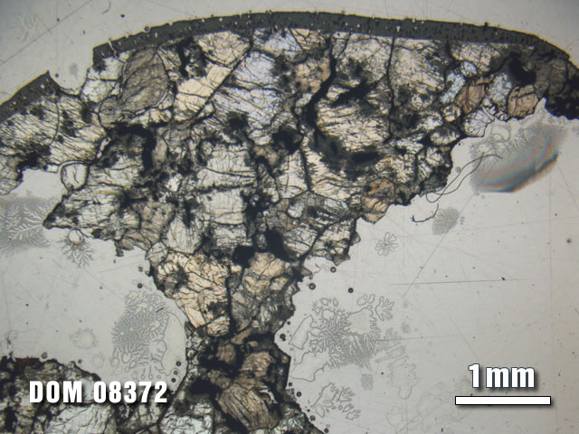 Thin Section Photo of Sample DOM 08372 at 1.25X Magnification in Plane-Polarized Light
