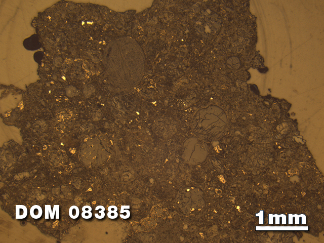 Thin Section Photo of Sample DOM 08385 at 1.25X Magnification in Reflected Light