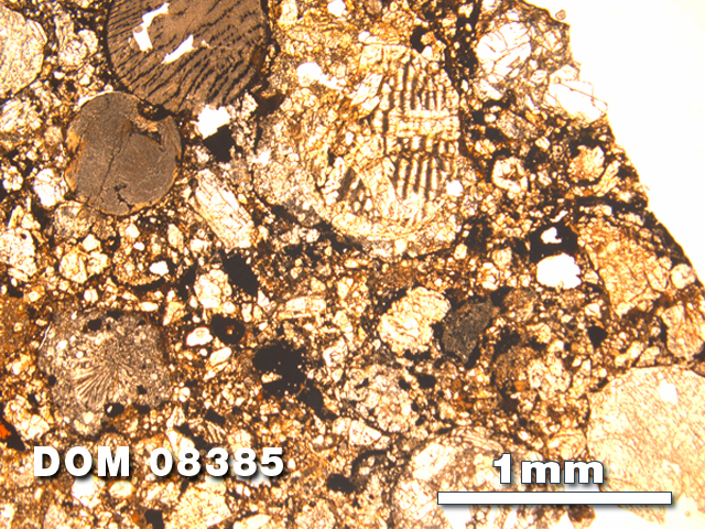 Thin Section Photo of Sample DOM 08385 at 2.5X Magnification in Plane-Polarized Light