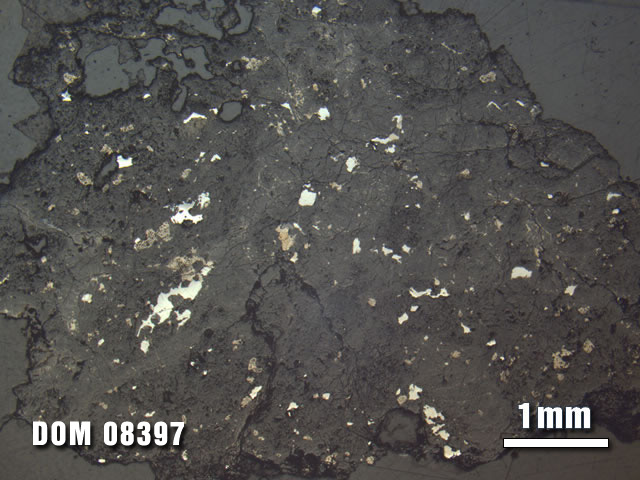 Thin Section Photo of Sample DOM 08397 at 1.25X Magnification in Reflected Light
