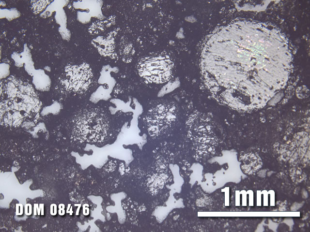 Thin Section Photo of Sample DOM 08476 at 2.5X Magnification in Reflected Light
