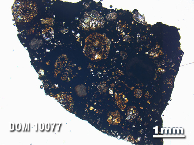Thin Section Photo of Sample DOM 10077 in Plane-Polarized Light with 1.25X Magnification