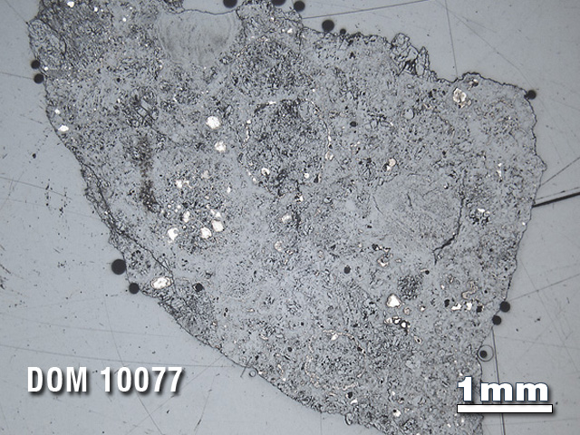 Thin Section Photo of Sample DOM 10077 in Reflected Light with 1.25X Magnification