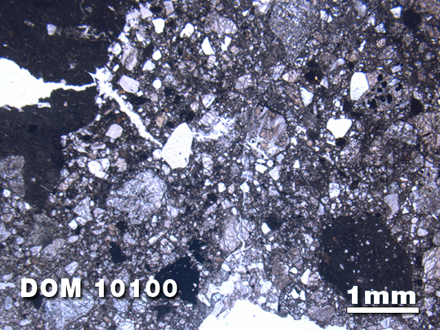 Thin Section Photo of Sample DOM 10100 at 1.25X Magnification in Plane-Polarized Light