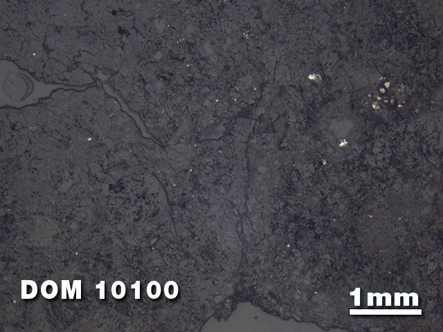 Thin Section Photo of Sample DOM 10100 at 1.25X Magnification in Reflected Light