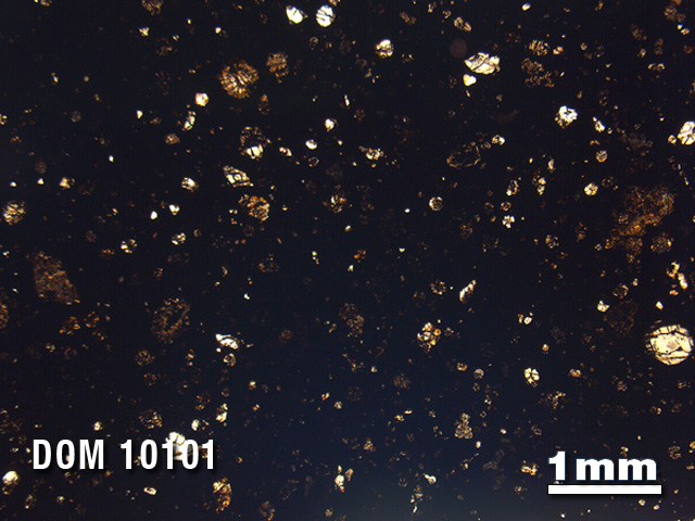 Thin Section Photo of Sample DOM 10101 in Plane-Polarized Light with 1.25X Magnification