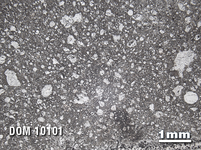 Thin Section Photo of Sample DOM 10101 in Reflected Light with 1.25X Magnification