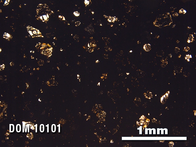 Thin Section Photo of Sample DOM 10101 in Plane-Polarized Light with 2.5X Magnification