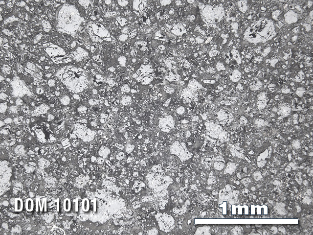 Thin Section Photo of Sample DOM 10101 in Reflected Light with 2.5X Magnification