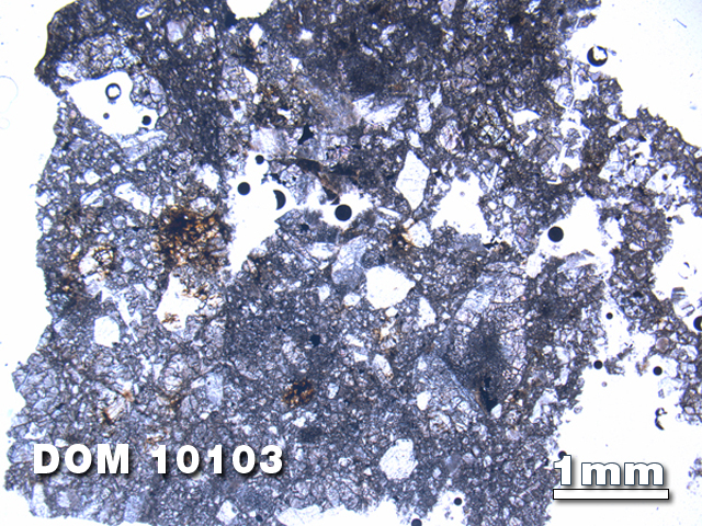 Thin Section Photo of Sample DOM 10103 at 1.25X Magnification in Plane-Polarized Light