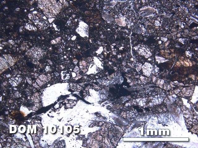 Thin Section Photo of Sample DOM 10105 at 2.5X Magnification in Plane-Polarized Light