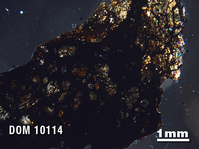 Thin Section Photo of Sample DOM 10114 in Cross-Polarized Light with 1.25X Magnification