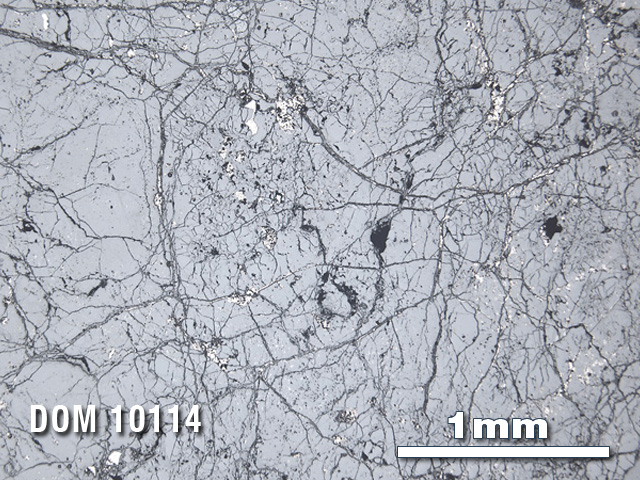 Thin Section Photo of Sample DOM 10114 in Reflected Light with 2.5X Magnification