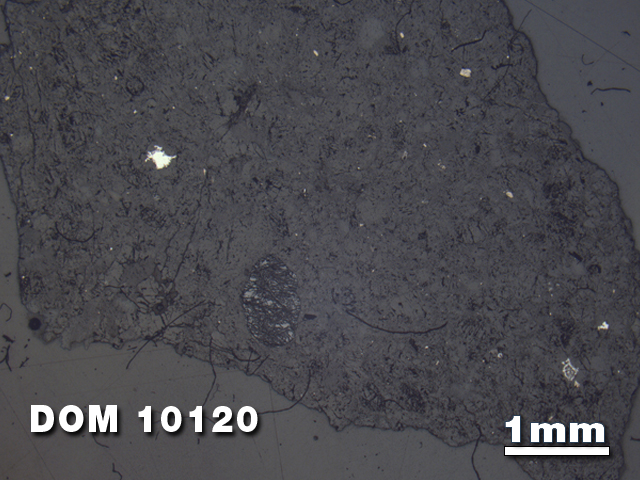 Thin Section Photo of Sample DOM 10120 at 1.25X Magnification in Reflected Light