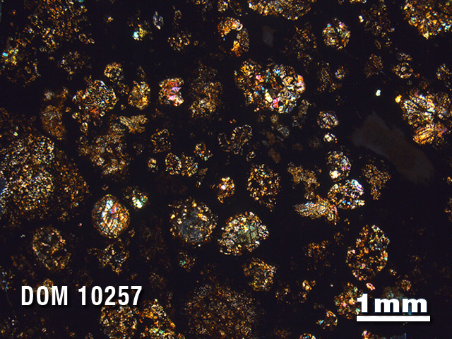 Thin Section Photo of Sample DOM 10257 in Cross-Polarized Light with 1.25X Magnification