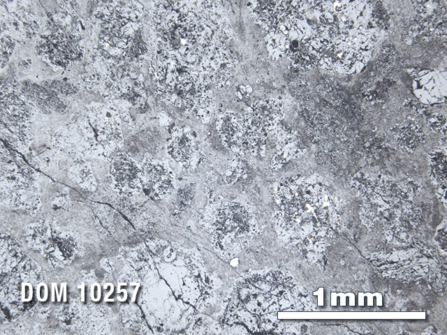 Thin Section Photo of Sample DOM 10257 in Reflected Light with 2.5X Magnification