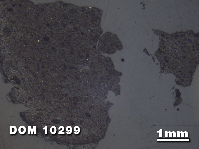 Thin Section Photo of Sample DOM 10299 at 1.25X Magnification in Reflected Light