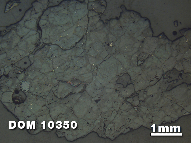 Thin Section Photo of Sample DOM 10350 at 1.25X Magnification in Reflected Light