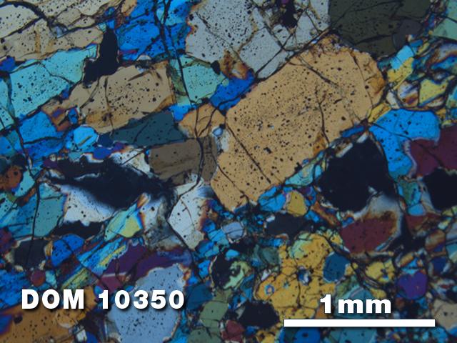 Thin Section Photo of Sample DOM 10350 at 2.5X Magnification in Cross-Polarized Light
