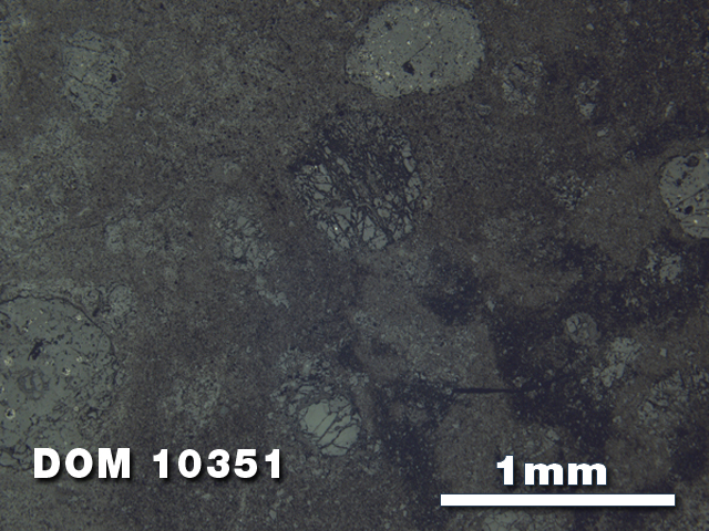 Thin Section Photo of Sample DOM 10351 at 2.5X Magnification in Reflected Light