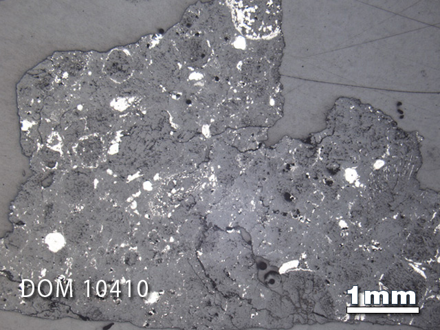 Thin Section Photograph of Sample DOM 10410 in Reflected Light
