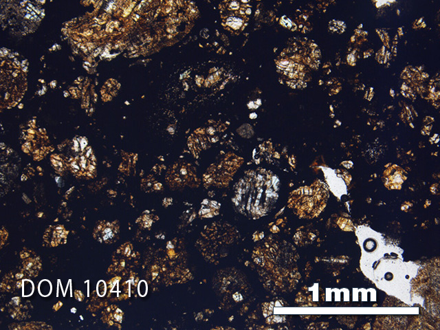 Thin Section Photograph of Sample DOM 10410 in Plane-Polarized Light