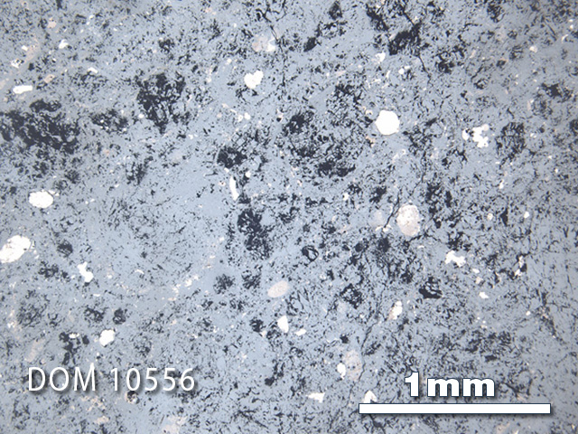 Thin Section Photo of Sample DOM 10556 in Reflected Light with 2.5x Magnification