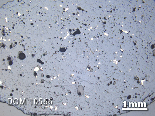 Thin Section Photo of Sample DOM 10566 in Reflected Light with 1.25X Magnification