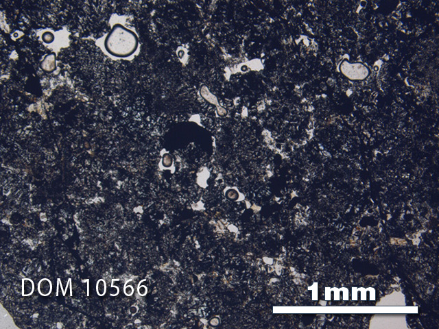 Thin Section Photo of Sample DOM 10566 in Plane-Polarized Light with 2.5X Magnification