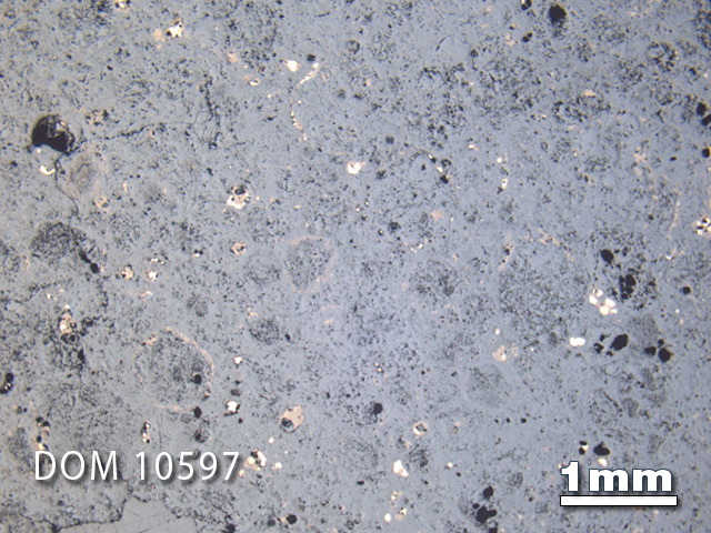 Thin Section Photo of Sample DOM 10597 in Reflected Light with 1.25X Magnification