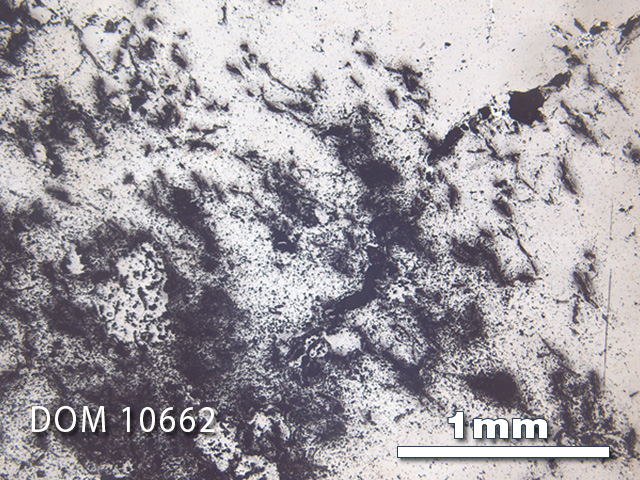 Thin Section Photo of Sample DOM 10662 in Reflected Light with 2.5x Magnification