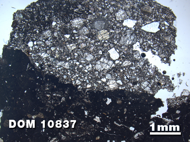 Thin Section Photo of Sample DOM 10837 at 1.25X Magnification in Plane-Polarized Light