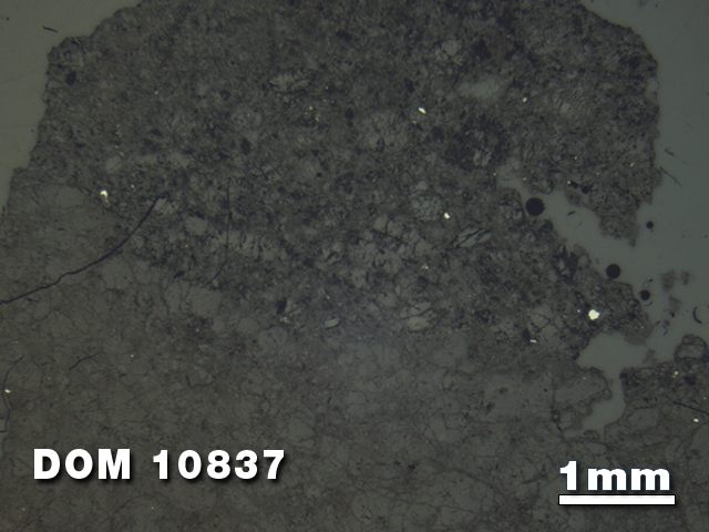 Thin Section Photo of Sample DOM 10837 at 1.25X Magnification in Reflected Light