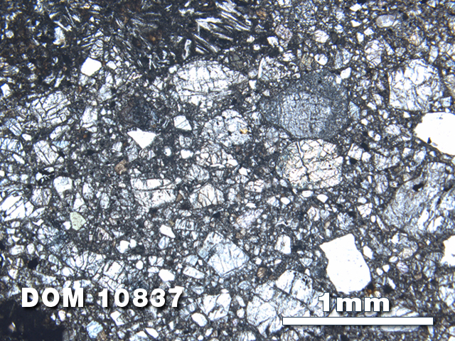 Thin Section Photo of Sample DOM 10837 at 2.5X Magnification in Plane-Polarized Light