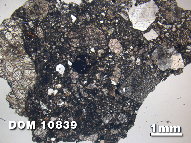 Thin Section Photo of Sample DOM 10839 at 1.25X Magnification in Plane-Polarized Light