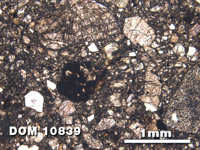 Thin Section Photo of Sample DOM 10839 at 2.5X Magnification in Plane-Polarized Light