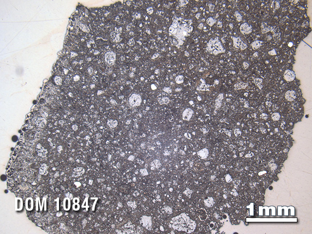 Thin Section Photo of Sample DOM 10847 in Reflected Light with 1.25X Magnification