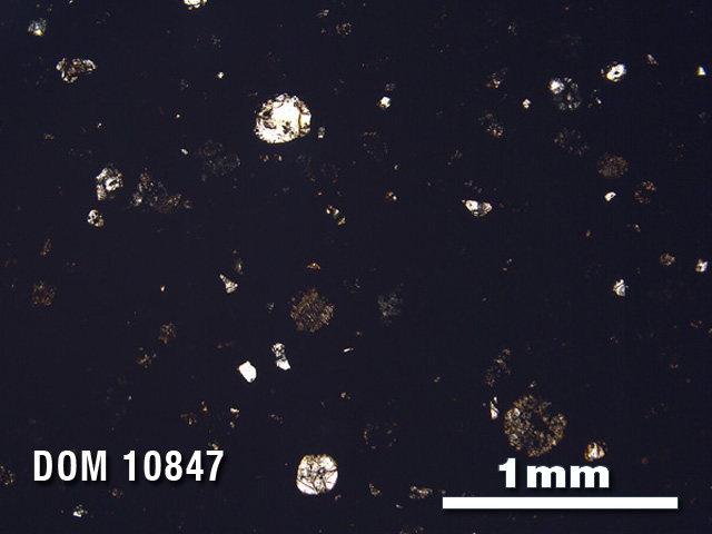 Thin Section Photo of Sample DOM 10847 in Plane-Polarized Light with 2.5X Magnification