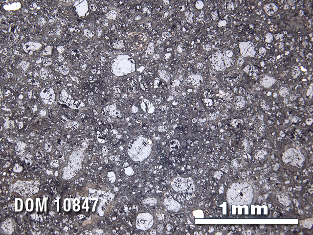 Thin Section Photo of Sample DOM 10847 in Reflected Light with 2.5X Magnification