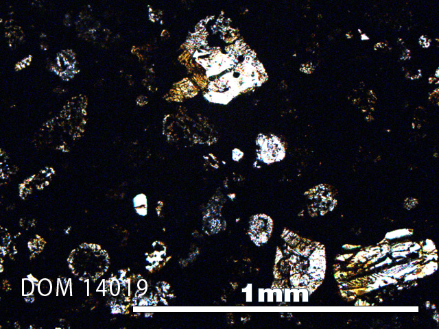Thin Section Photo of Sample DOM 14019 in Plane-Polarized Light with 5X Magnification