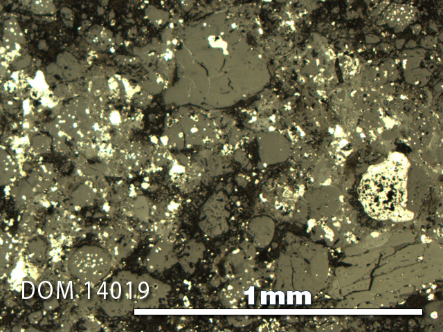 Thin Section Photo of Sample DOM 14019 in Reflected Light with 5X Magnification